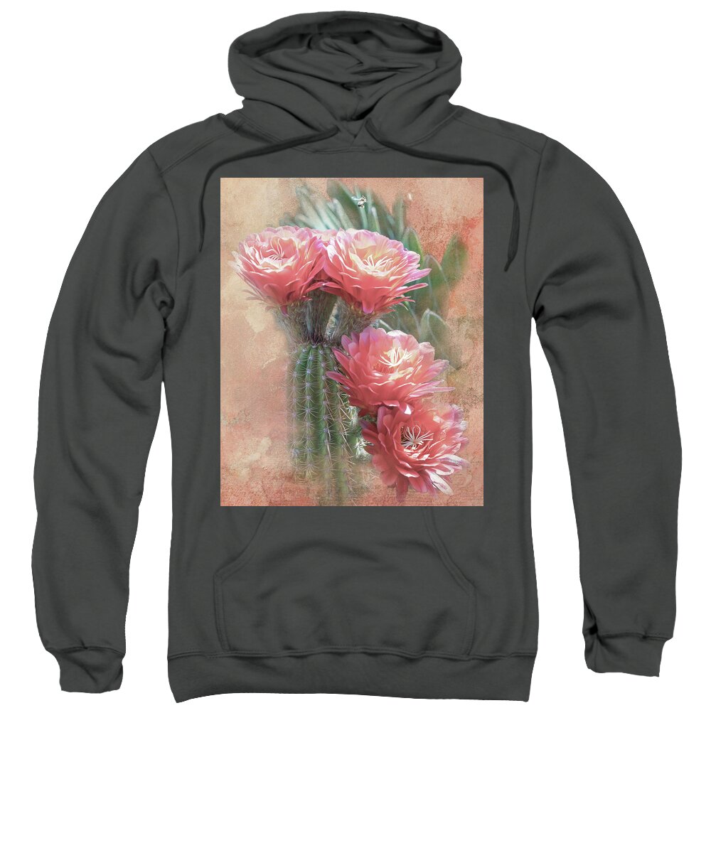Black Cactus Sweatshirt featuring the digital art Soft Red Blooms of Tucson by Steve Kelley