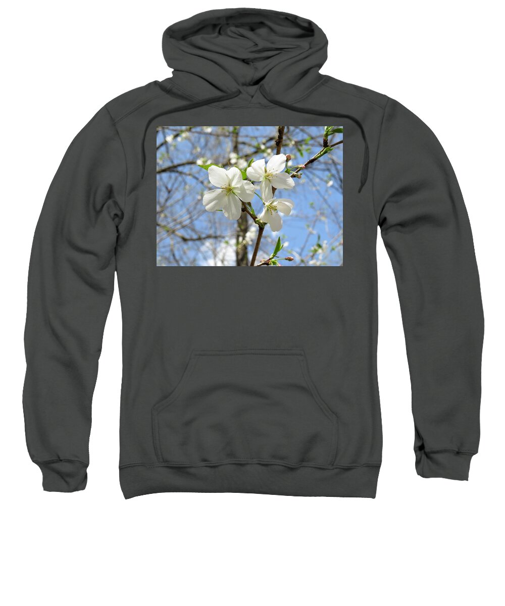 Blossoms Sweatshirt featuring the photograph Some Macon Cherry Blossoms by Ed Williams