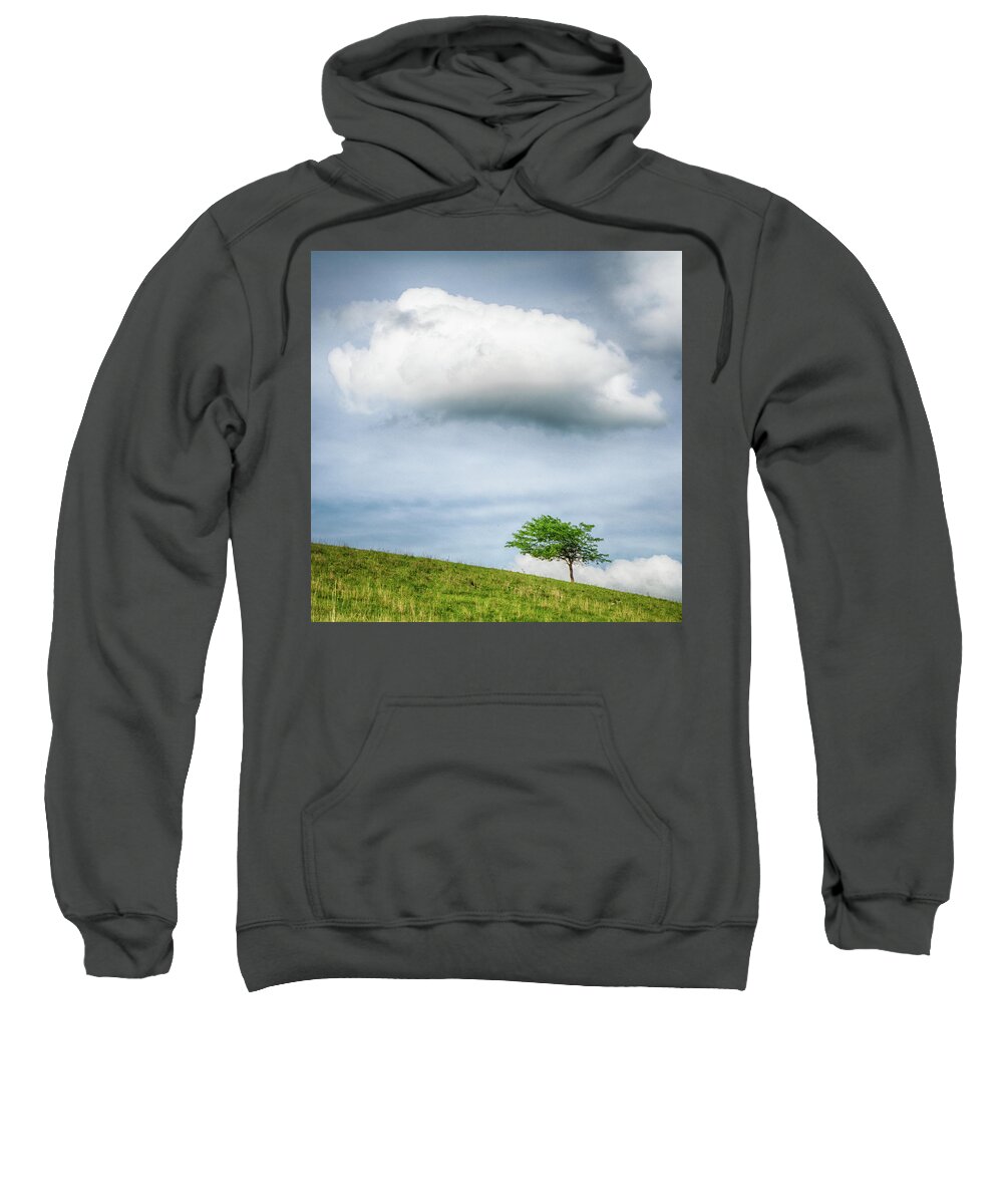 2018 Sweatshirt featuring the photograph Someone is Following Me by Gerri Bigler