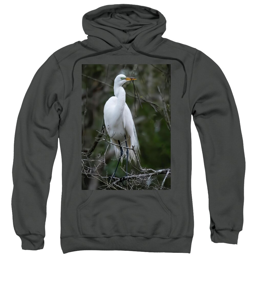 Egret Sweatshirt featuring the photograph Someting For My Nest by Ginger Stein