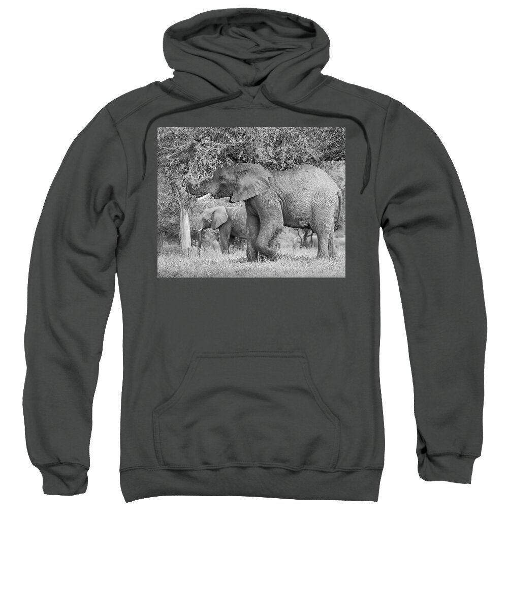 Elephant Coast Sweatshirt featuring the photograph South African Bull Elephant by Maresa Pryor-Luzier