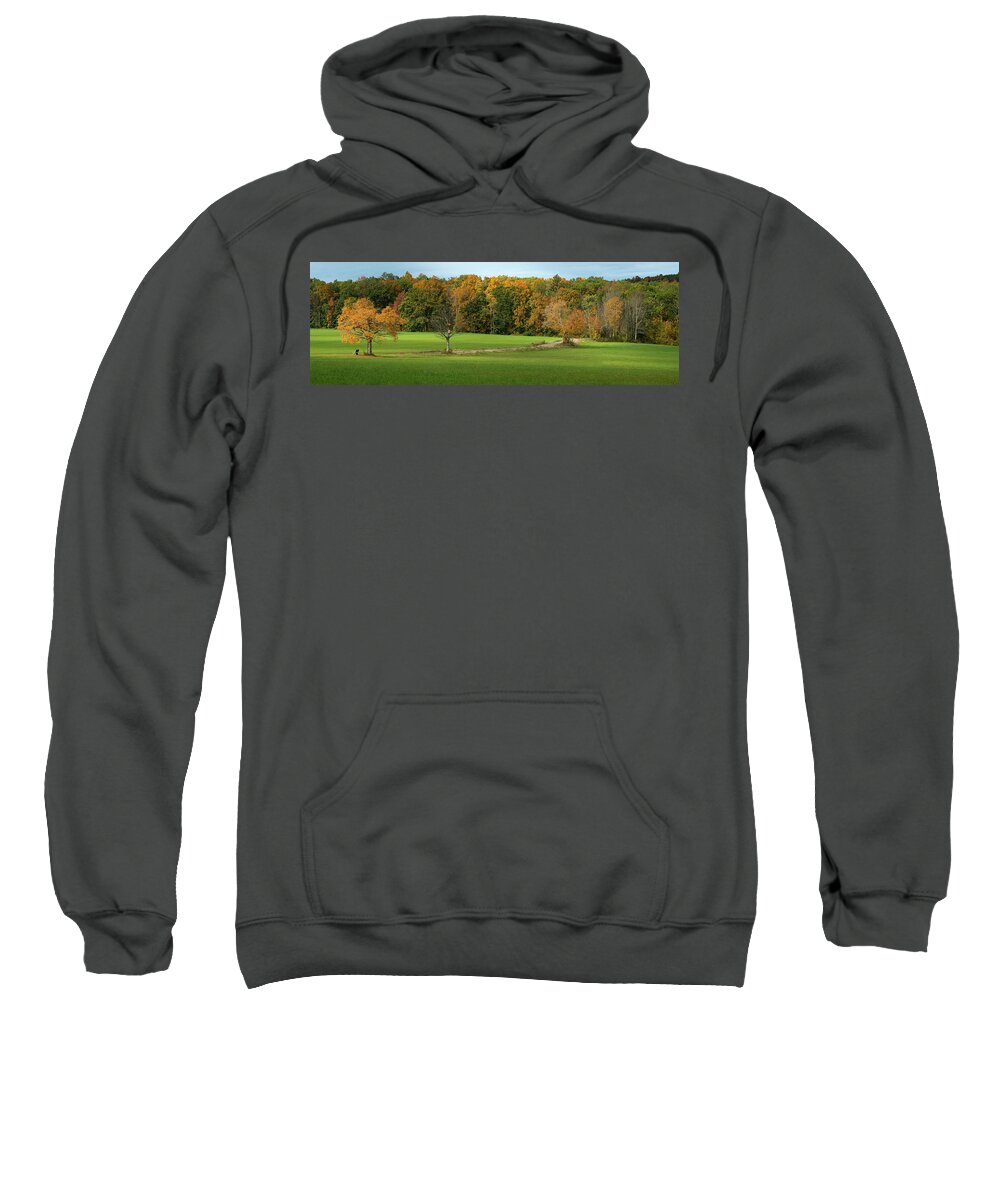 Colorful Sweatshirt featuring the photograph Space for Contemplation 2 pano by Dimitry Papkov