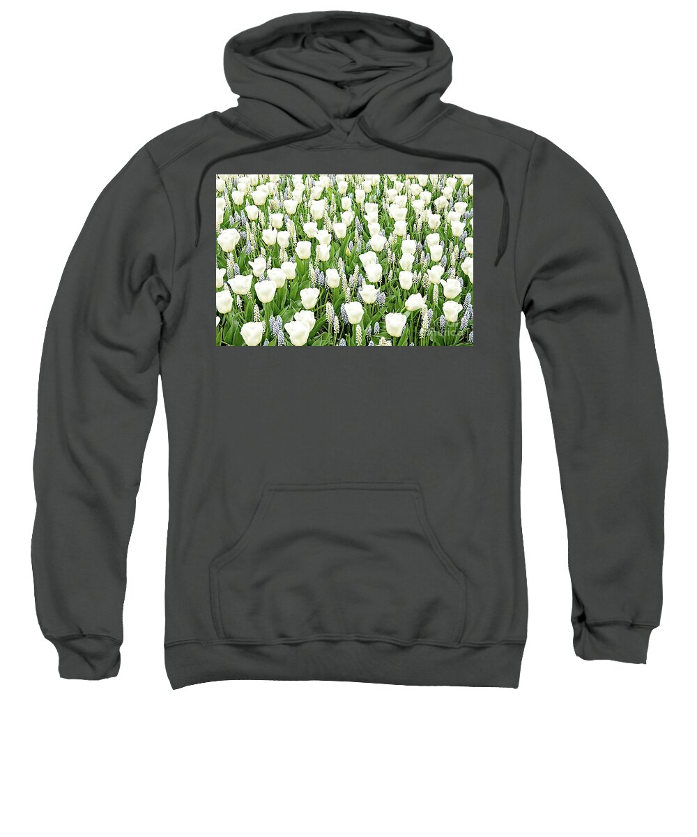 Gardens Sweatshirt featuring the photograph Spring Dream by Marilyn Cornwell