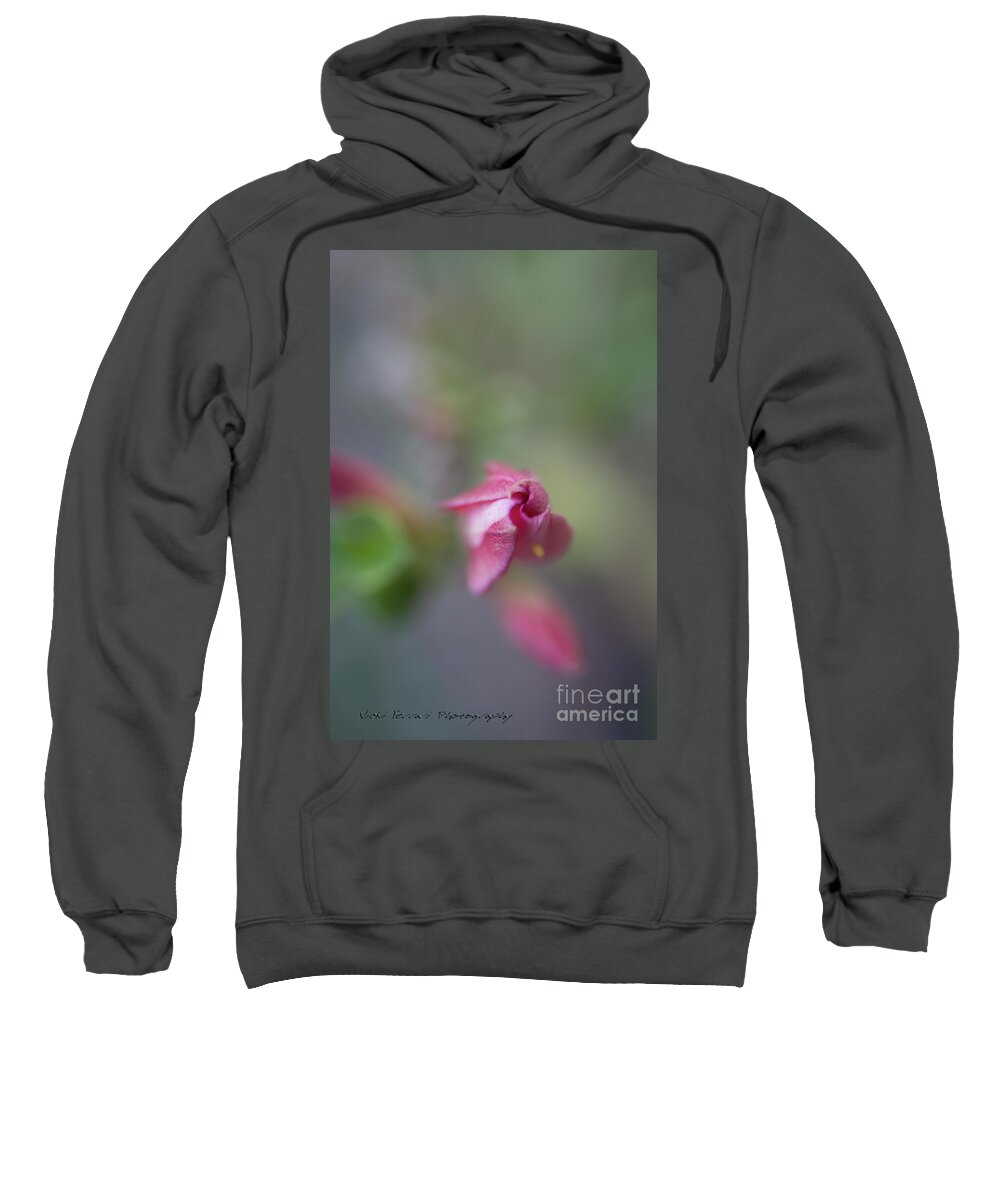 Desert Rose Sweatshirt featuring the photograph Springing Desert Rose by Vicki Ferrari