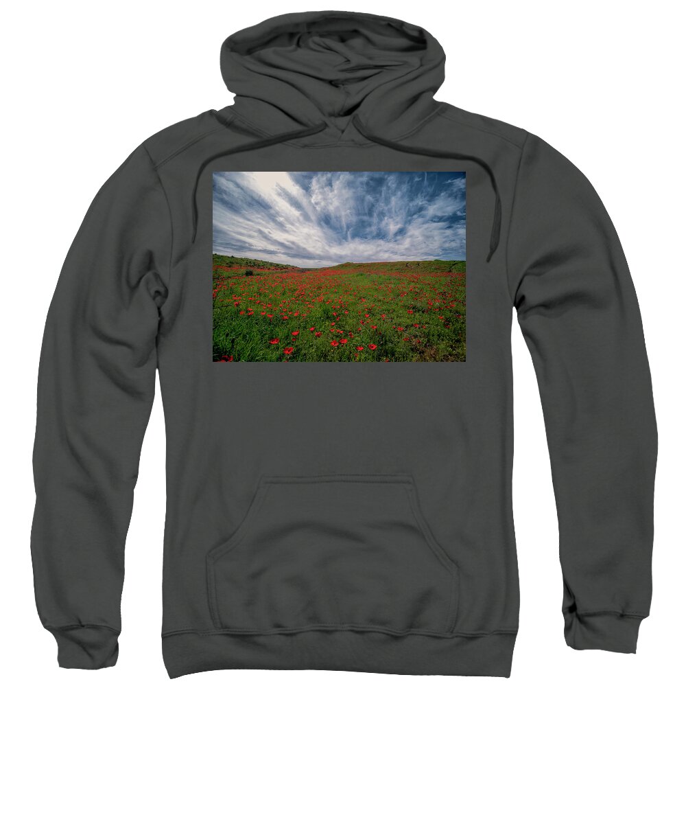 Flowers Sweatshirt featuring the photograph Springtime in the Desert by Uri Baruch