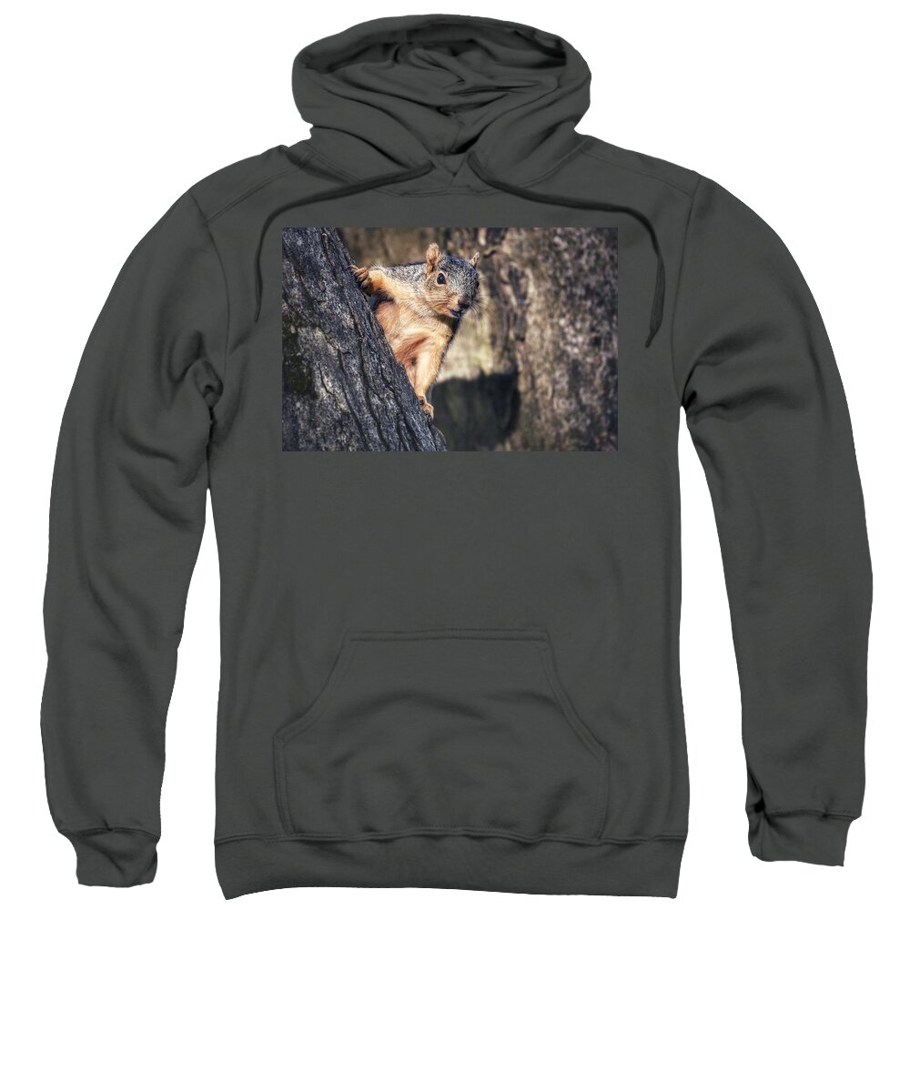 Photo Sweatshirt featuring the photograph Squirrel in Tree by Evan Foster