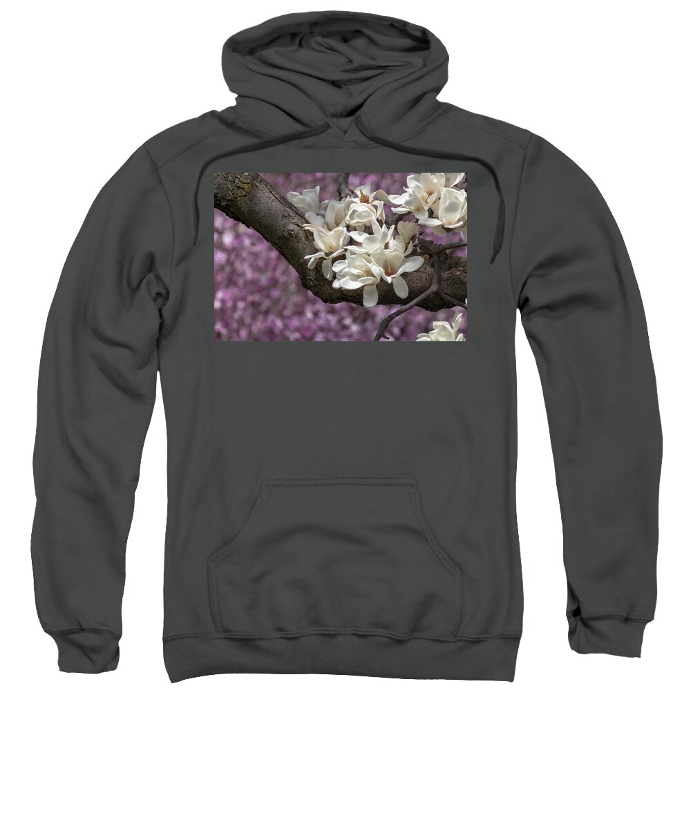 Flower Sweatshirt featuring the photograph Star Magnolia by Dawn Cavalieri