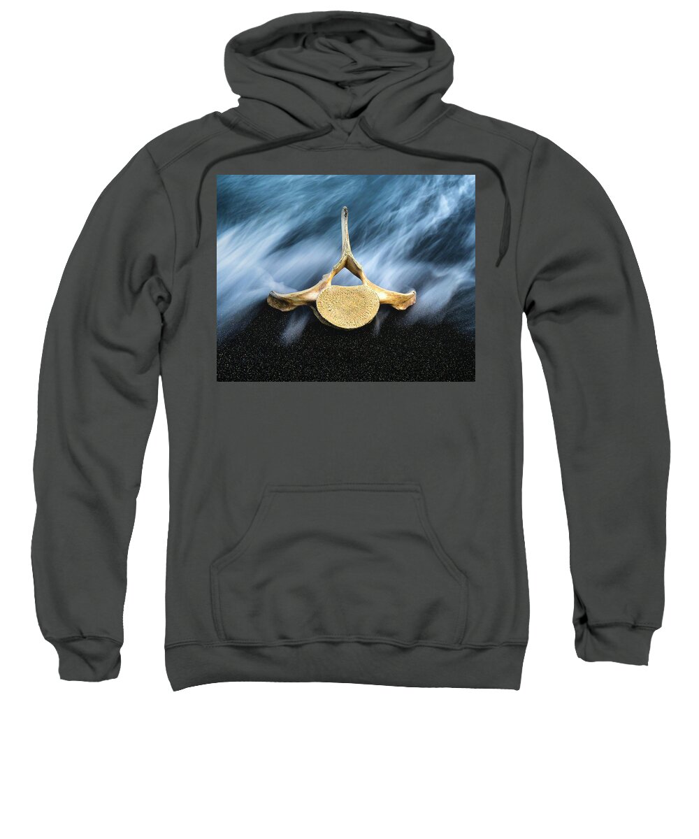 Atlantic Ocean Sweatshirt featuring the photograph Still Life, Land and Sea by Dee Potter
