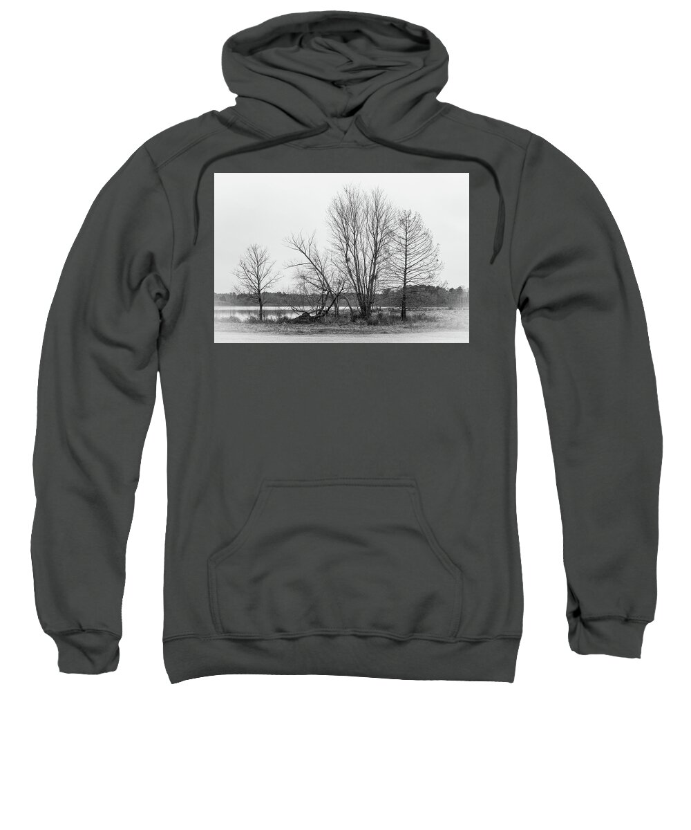 Leaf Sweatshirt featuring the photograph Still Trees 2 by Rick Nelson