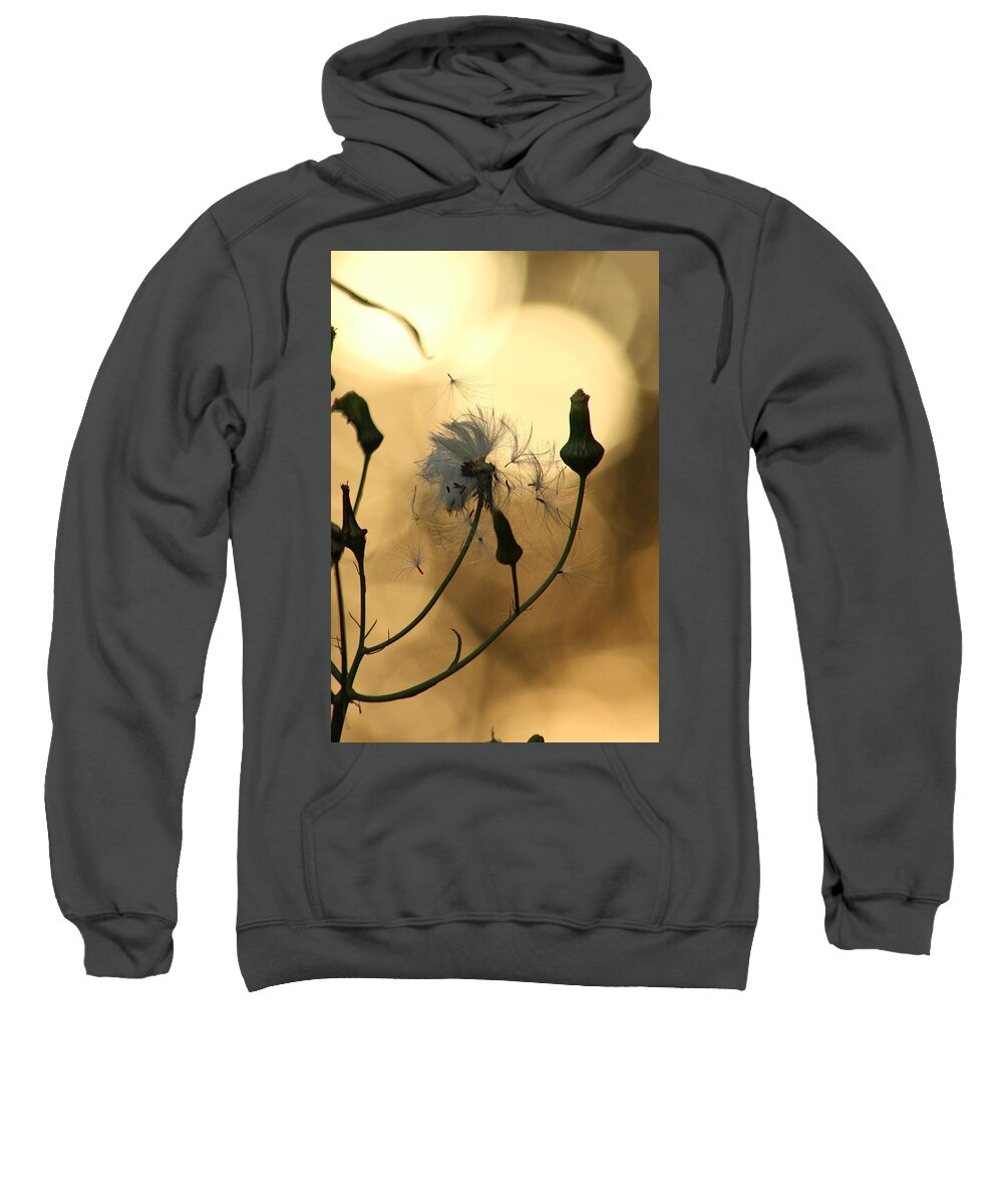 Jane Ford Sweatshirt featuring the photograph Summer's End by Jane Ford
