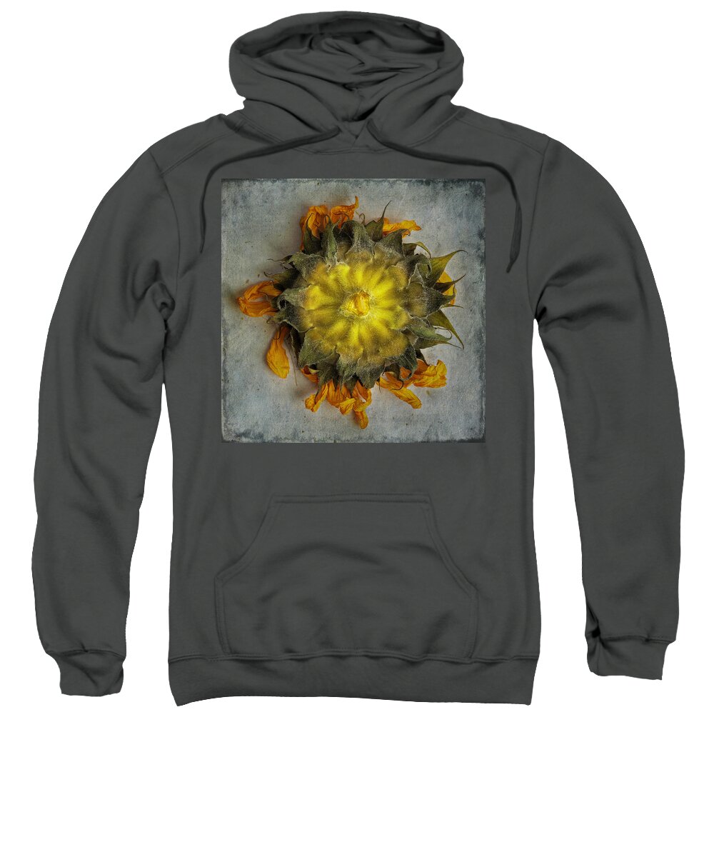 Sunflower Yellow Green Sweatshirt featuring the photograph Sunflower back by Andrew Giovinazzo