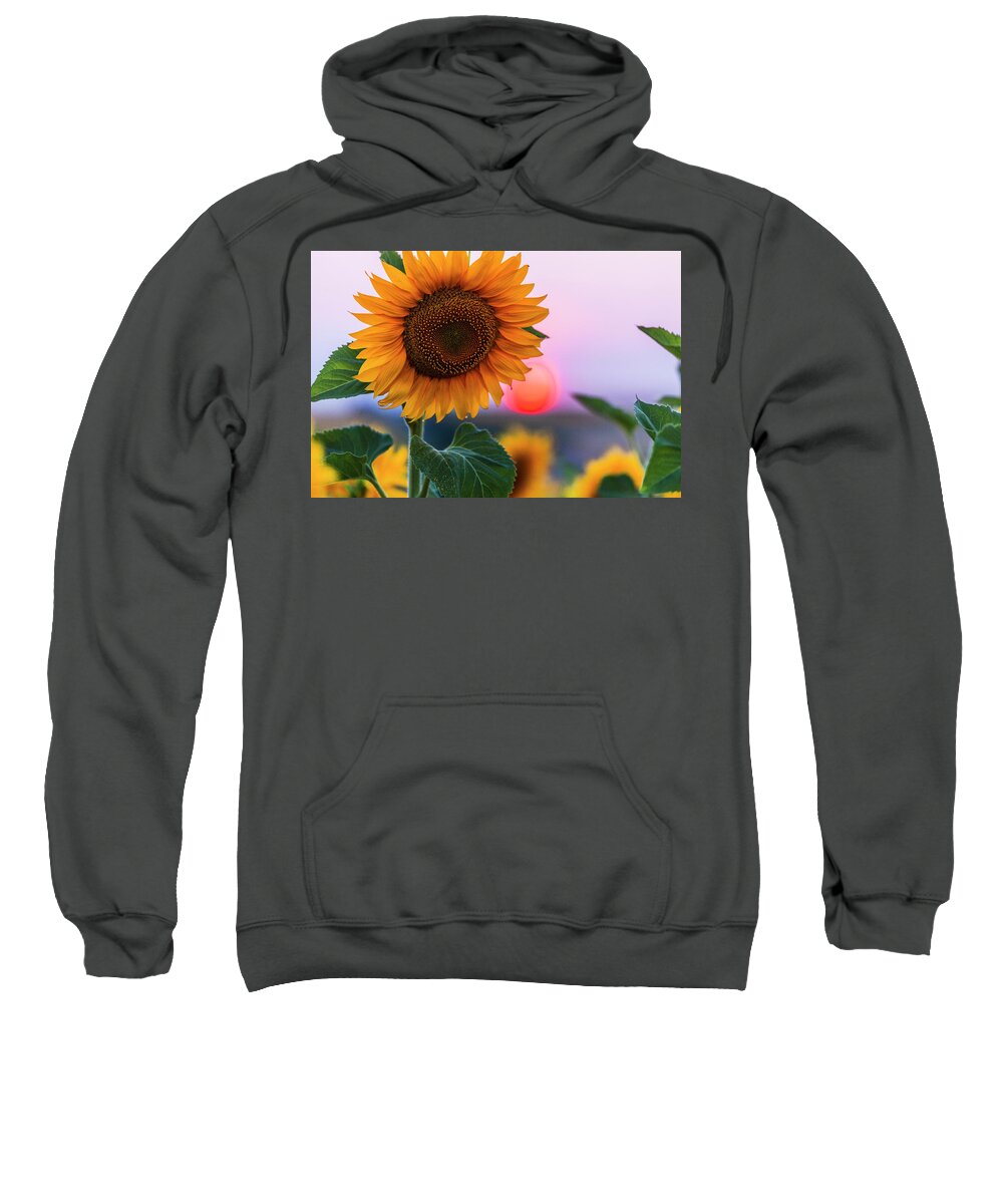 Bulgaria Sweatshirt featuring the photograph Sunflower by Evgeni Dinev