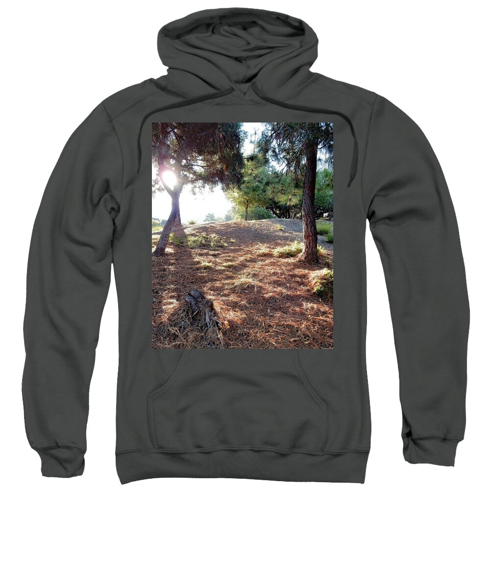 Sunlight Sweatshirt featuring the photograph Sunlit Hillside by Andrew Lawrence