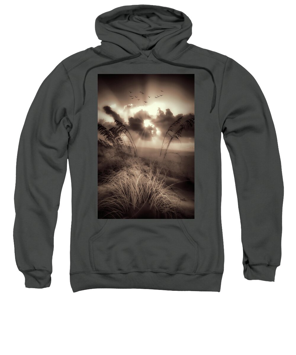 North Carolina Sweatshirt featuring the photograph Sunrise Through the Oats by Dan Carmichael