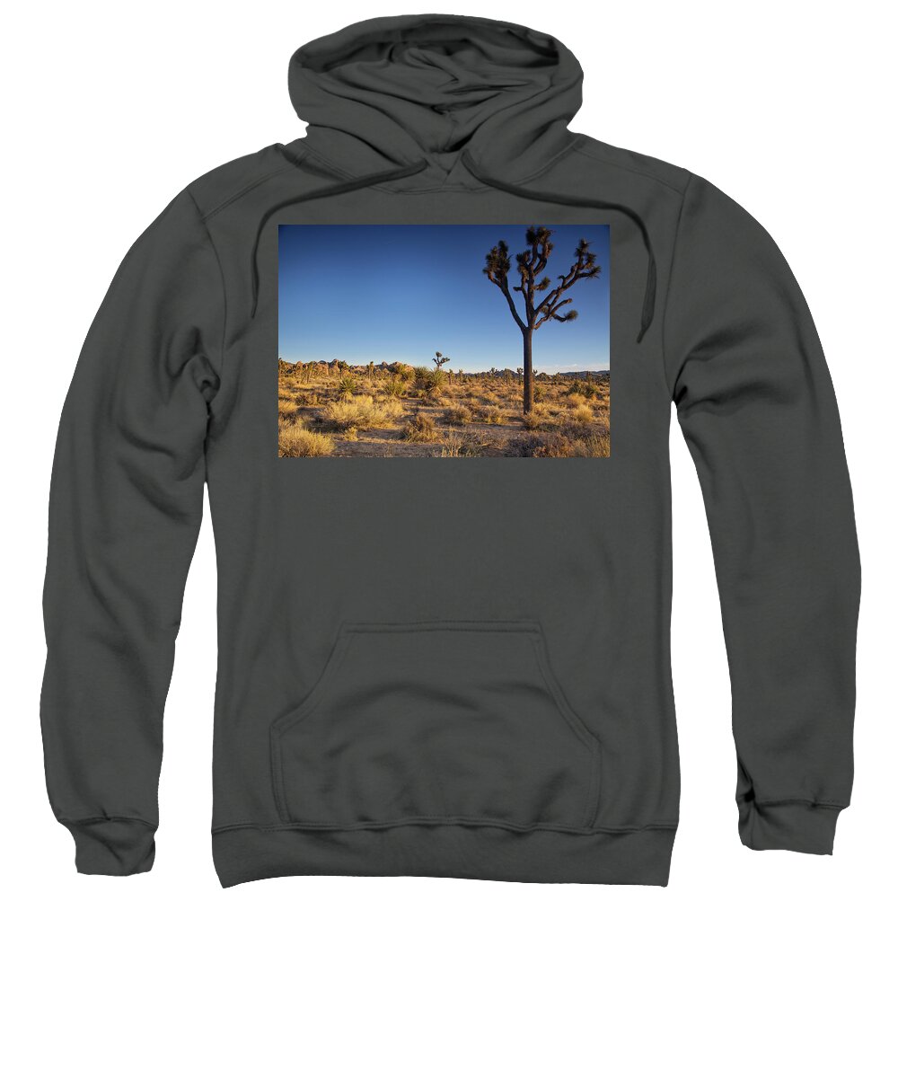 Joshua Tree National Park Sunset Sweatshirt featuring the photograph Sunset along boy scout trail by Kunal Mehra