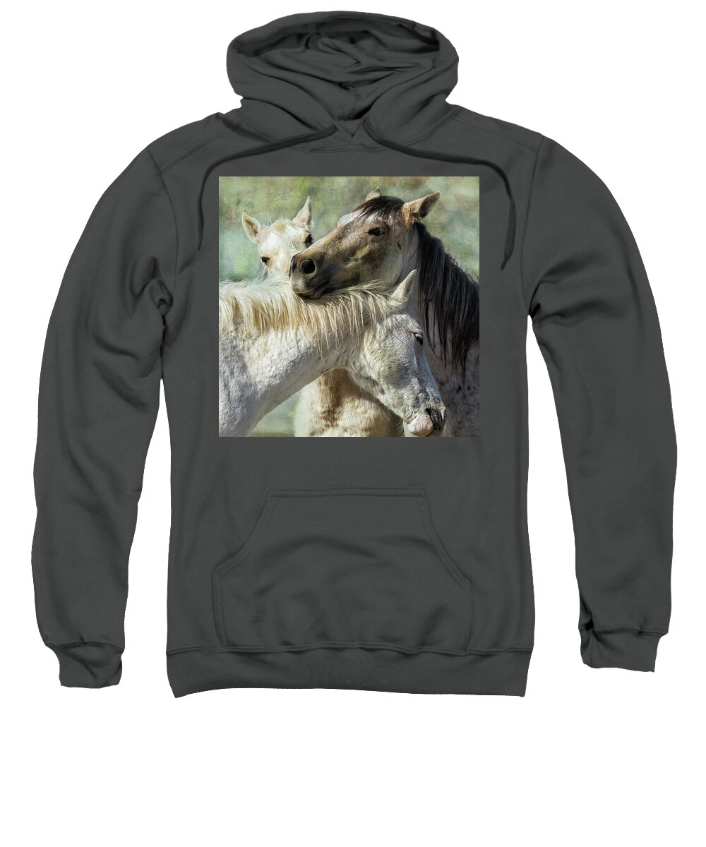 Wild Horses Sweatshirt featuring the photograph Surrounded by Love by Belinda Greb