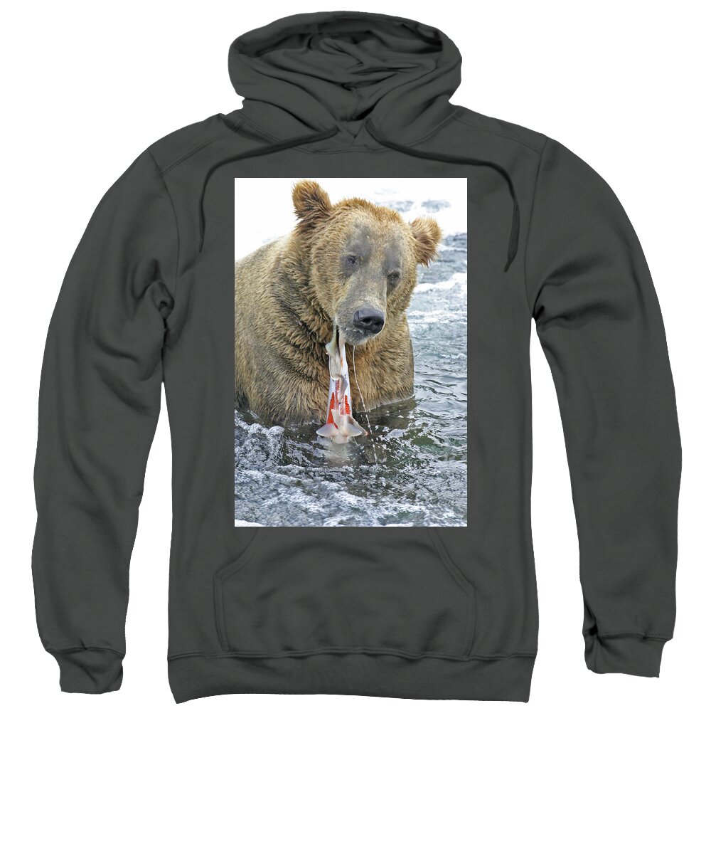 Bear Sweatshirt featuring the photograph Sushi for lunch by Ed Stokes