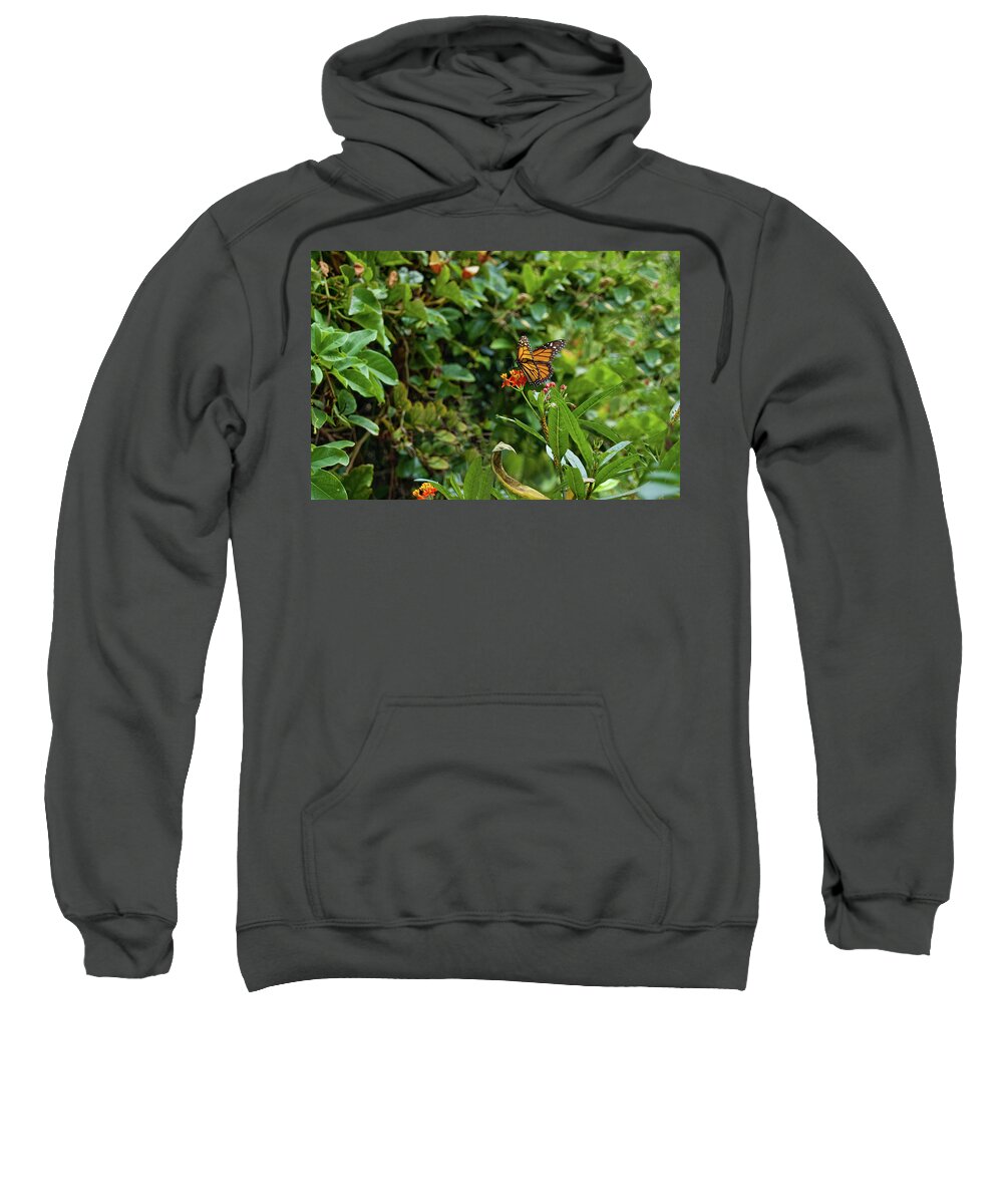 Monarch Sweatshirt featuring the photograph Sweet Simplicity by Margaret Pitcher