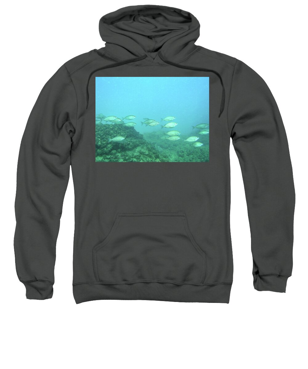 Fish Sweatshirt featuring the photograph Go Right by Meir Ezrachi