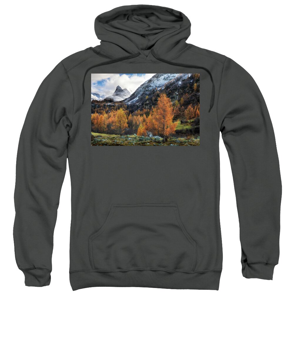 Alpine Sweatshirt featuring the photograph Swiss painting by Dominique Dubied