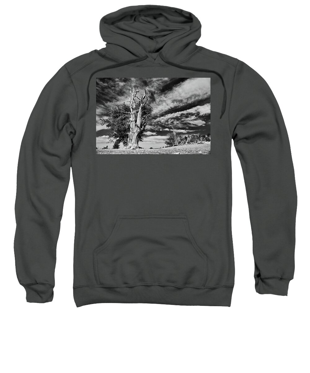 Ca Sweatshirt featuring the photograph Tall Strong and Proud by American Landscapes