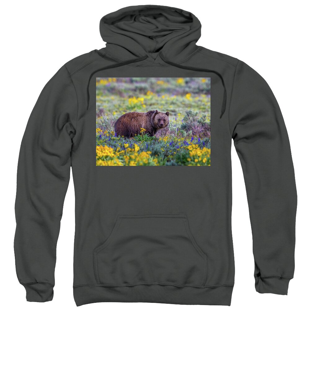  Sweatshirt featuring the photograph Teton Bloom by Kevin Dietrich