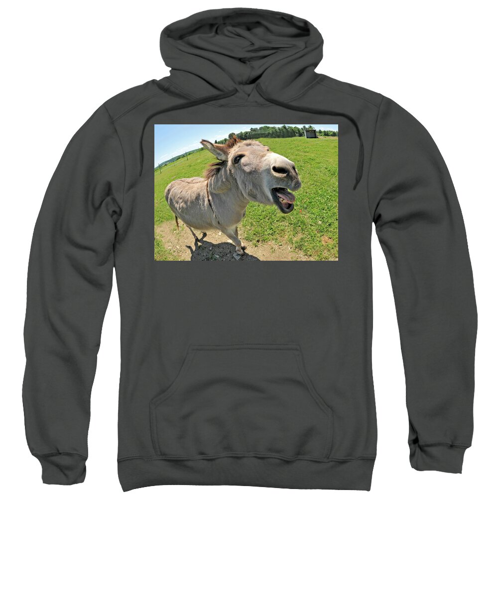 Donkey Sweatshirt featuring the photograph That Is The Damnedest Thing I Have Ever Heard by Robert Dann