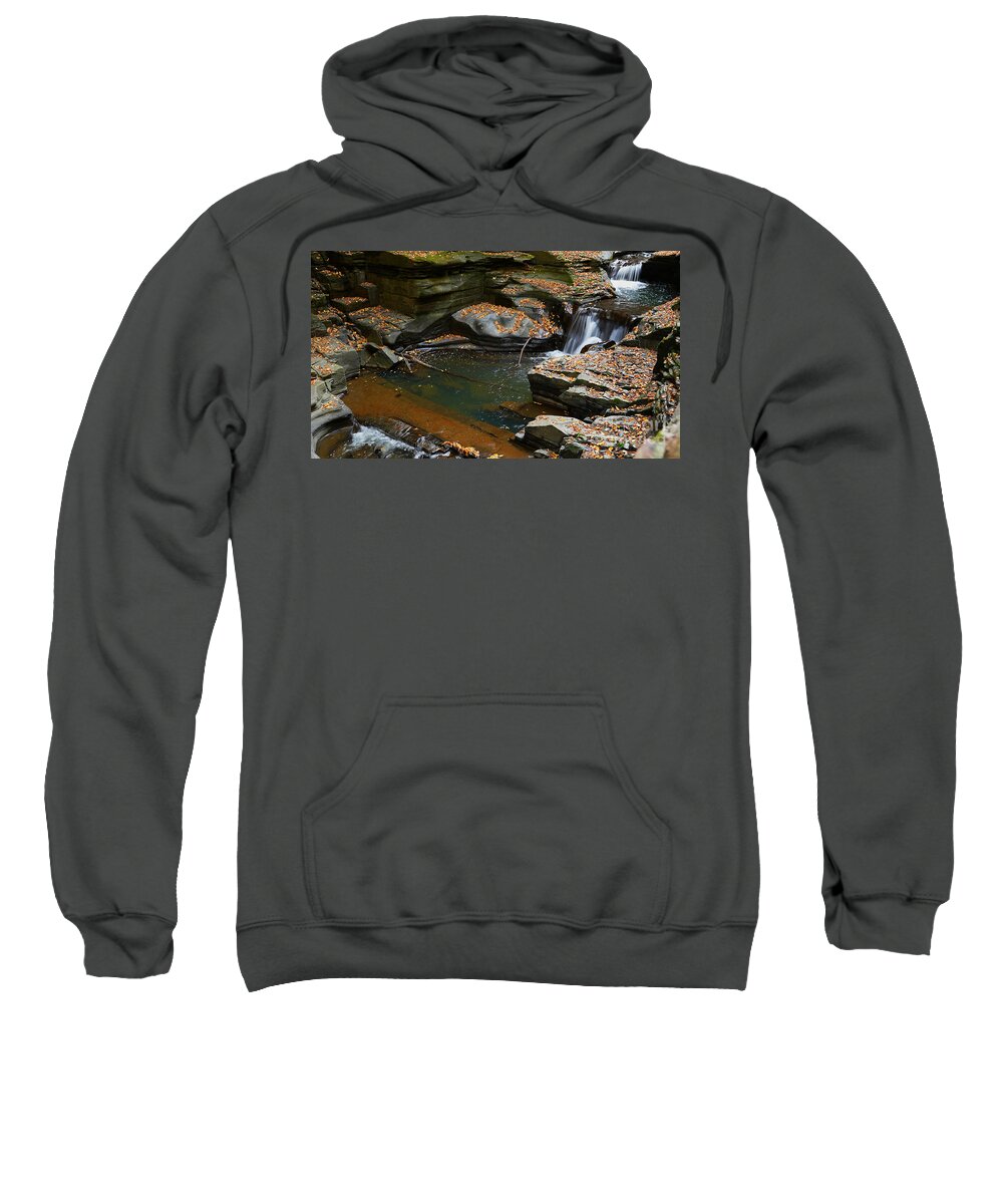 Watkins Glen State Park Sp Sweatshirt featuring the photograph The Beauty of the WGSP Ponds by fototaker Tony