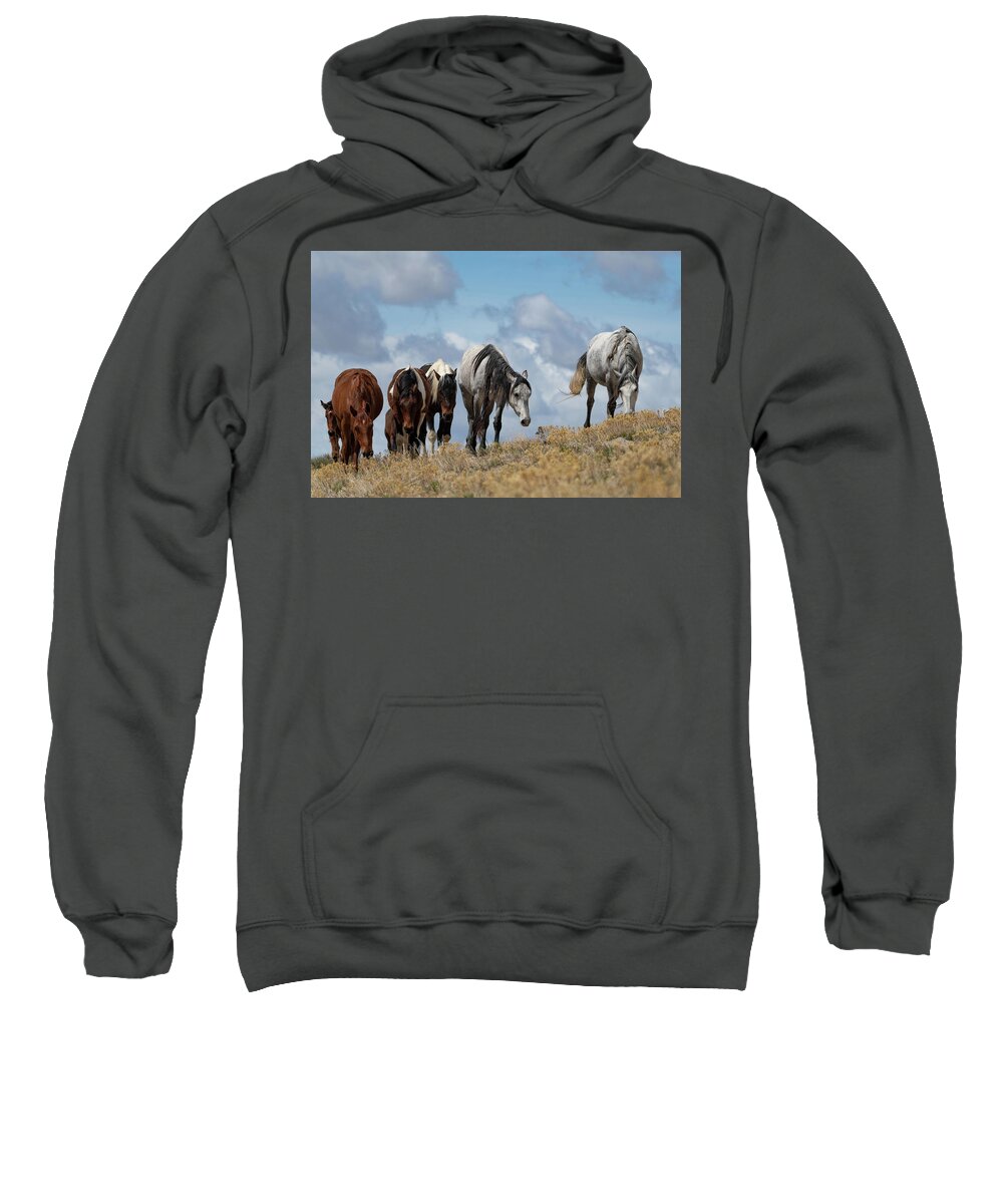 Wild Horses Sweatshirt featuring the photograph The Best View by Mary Hone