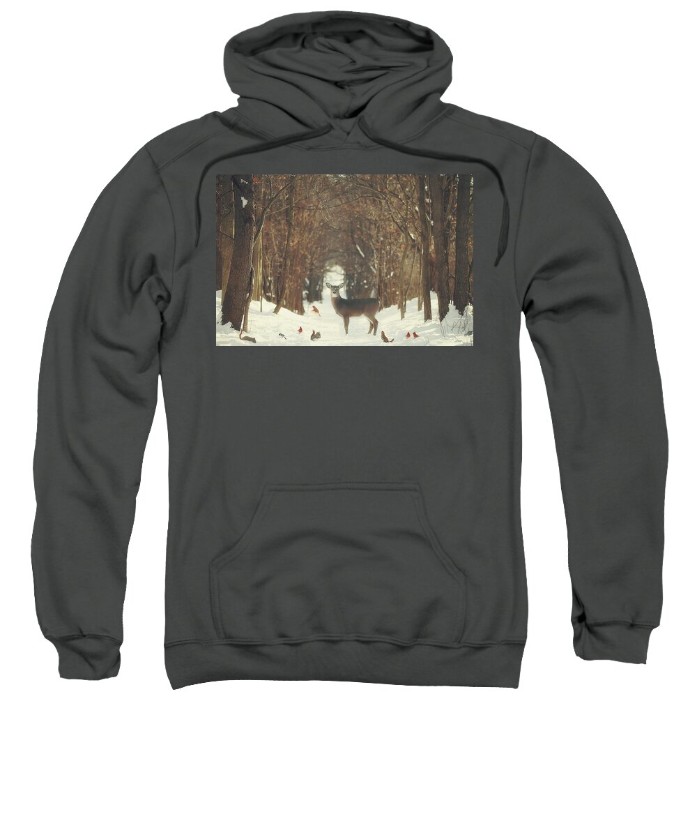 #faatoppicks Sweatshirt featuring the photograph The Forest of Snow White by Carrie Ann Grippo-Pike