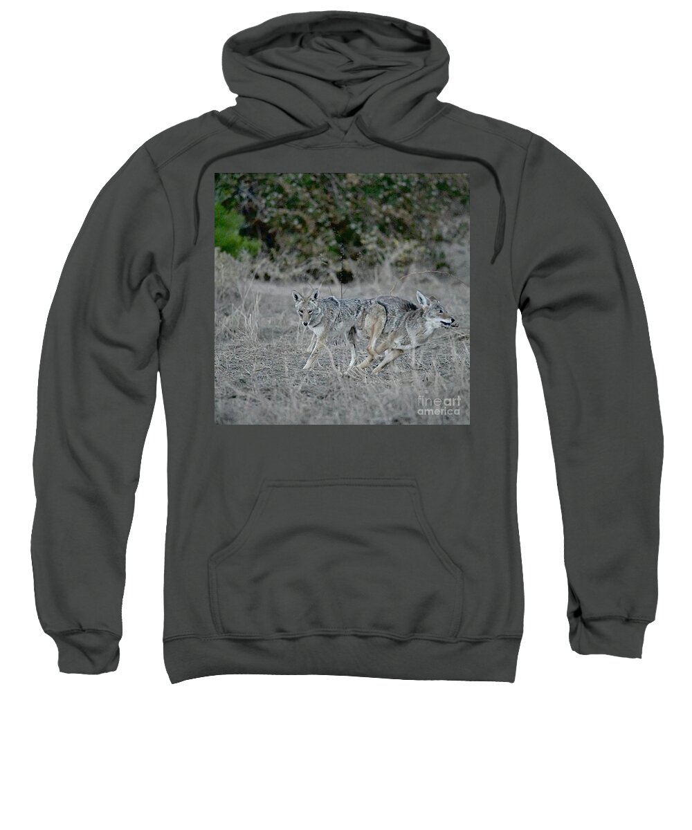 Coyote Sweatshirt featuring the digital art The Get Away by Tammy Keyes