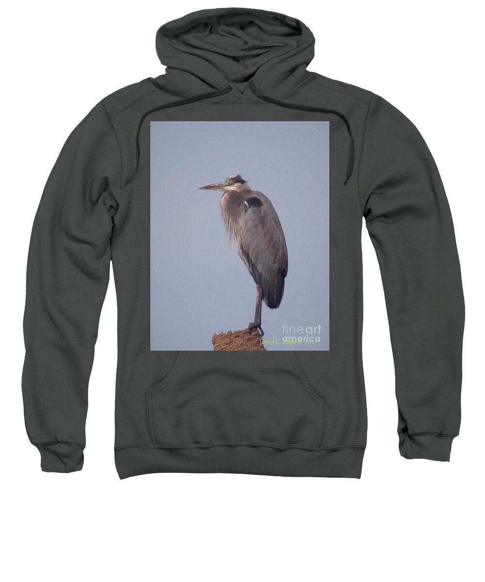 Great Heron Sweatshirt featuring the photograph The Great Blue Heron by David Ragland