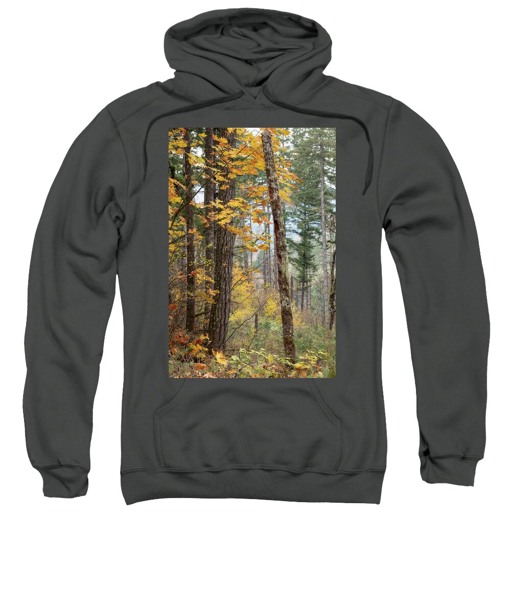 Fall Sweatshirt featuring the photograph The Last of Fall by Catherine Avilez