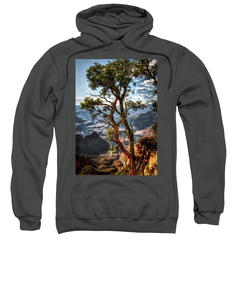 Grand Canyon Sweatshirt featuring the photograph The last of its kind by Micah Offman