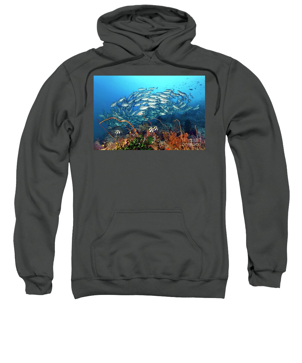 Coral Reef Sweatshirt featuring the photograph The Living Sea II by Norbert Probst