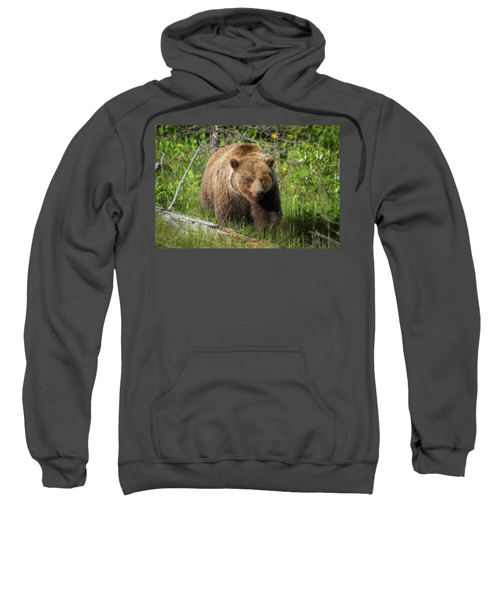 Bear Sweatshirt featuring the photograph The Majestic Grizzly by Bill Cubitt