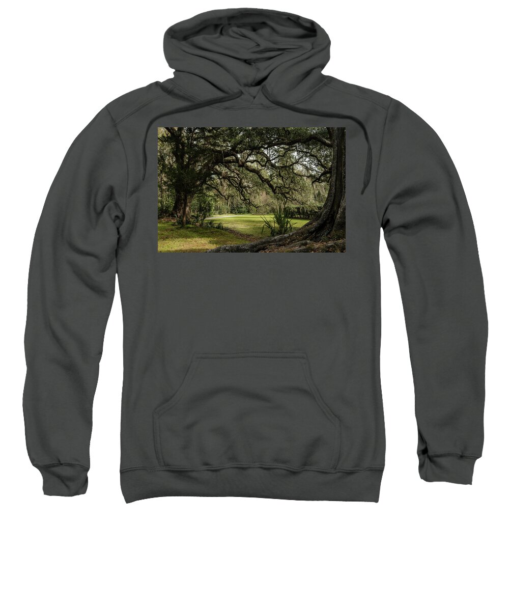Beauty Sweatshirt featuring the photograph The Mighty Oaks 2 by Dimitry Papkov