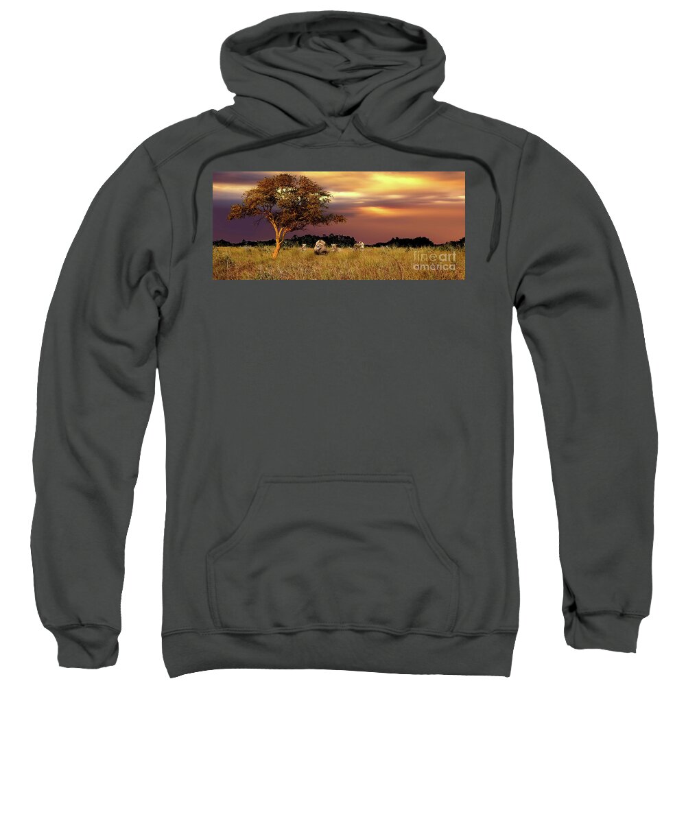 Africa Sweatshirt featuring the photograph The Pride by Ed Taylor