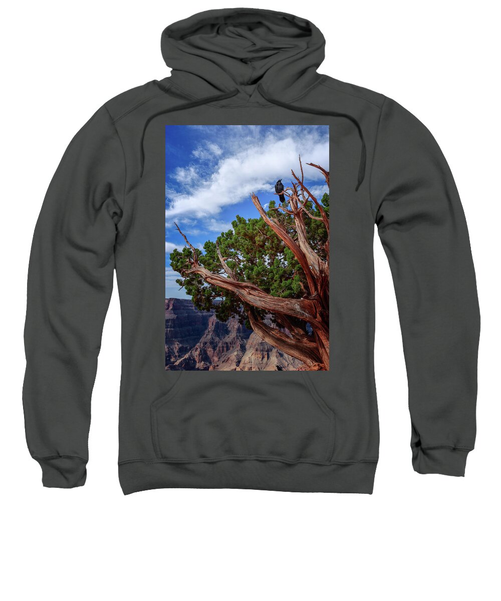 Northern Raven Sweatshirt featuring the photograph The Raven by Jack and Darnell Est