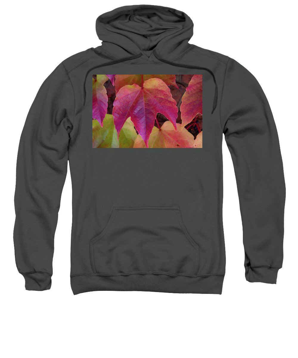 The Red Leaf Sweatshirt featuring the photograph The Red Ivy Leaf by Christina McGoran