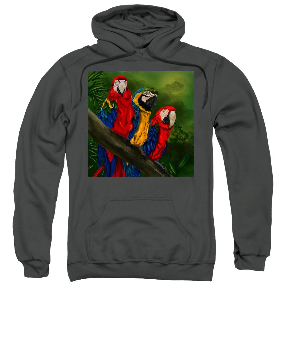Macaw Sweatshirt featuring the painting The Three Amigos Macaw Painting by Becky Herrera