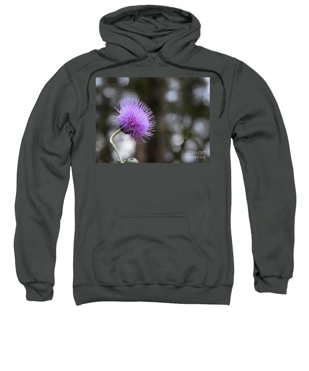 Thistle Sweatshirt featuring the photograph Thistle by Art by Magdalene