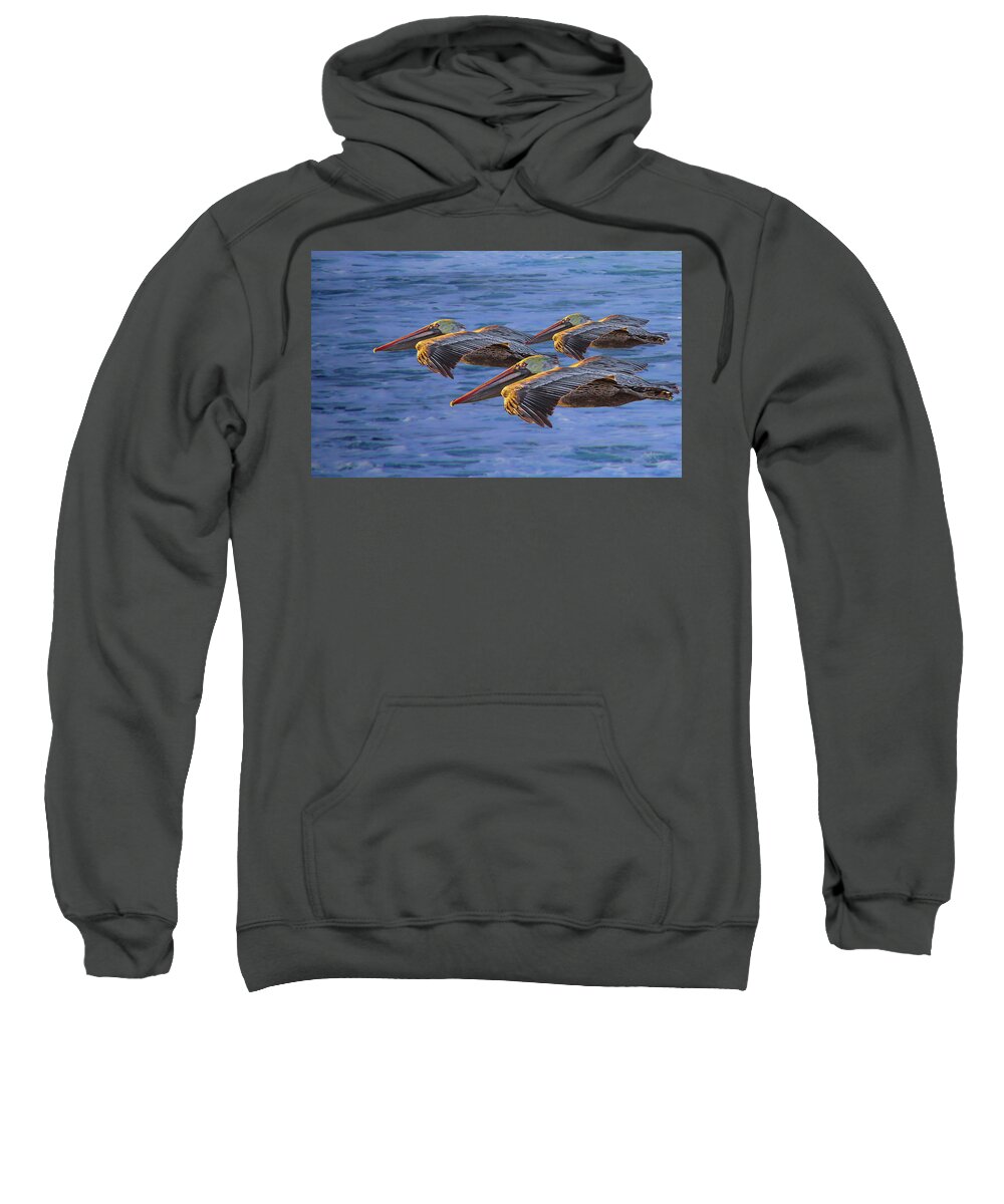 Gliding Sweatshirt featuring the photograph Three Brown Pelicans at Sunset by Russ Harris