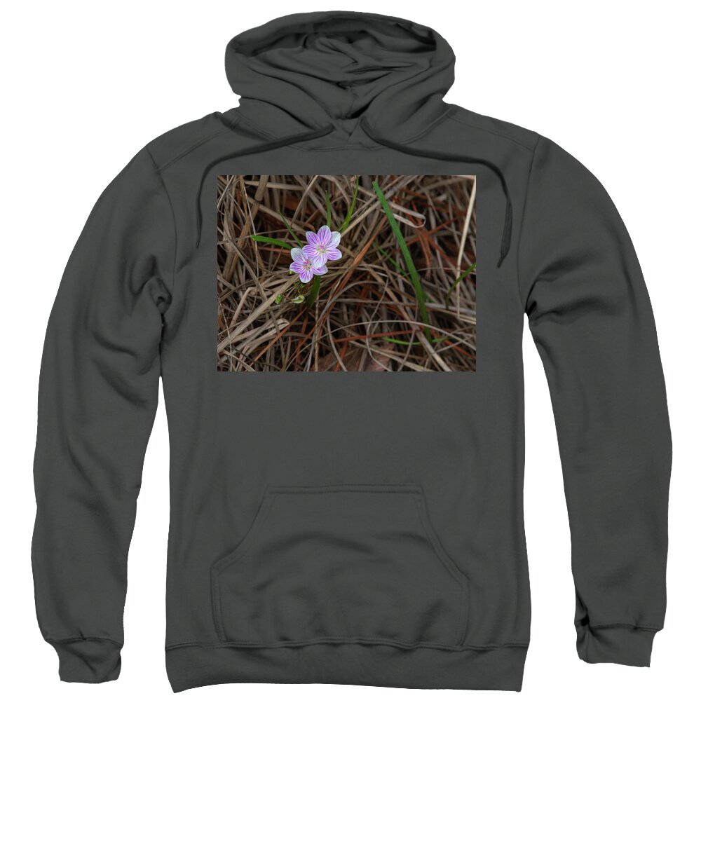 Bloom Sweatshirt featuring the photograph Tiny Spring Beauty Blossoms by Karen Rispin