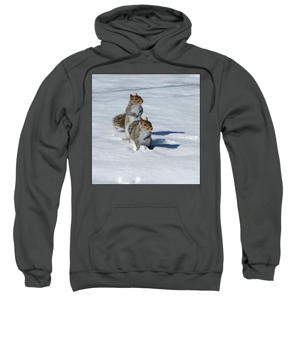 Eastern Gray Squirrel Sweatshirt featuring the photograph Too Long this Winter by Lyuba Filatova