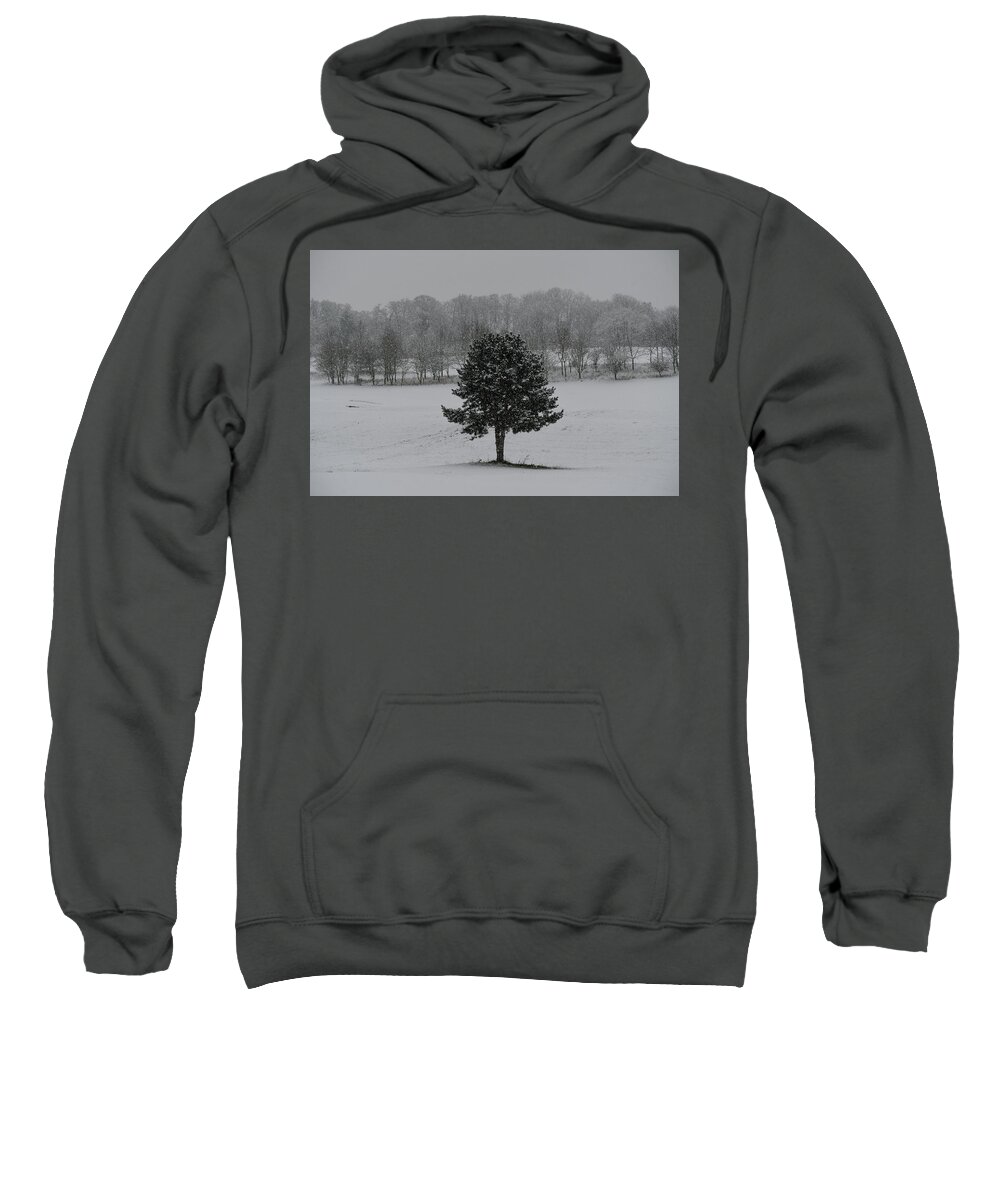 Herts Sweatshirt featuring the photograph Tree in the snow by Andrew Lalchan