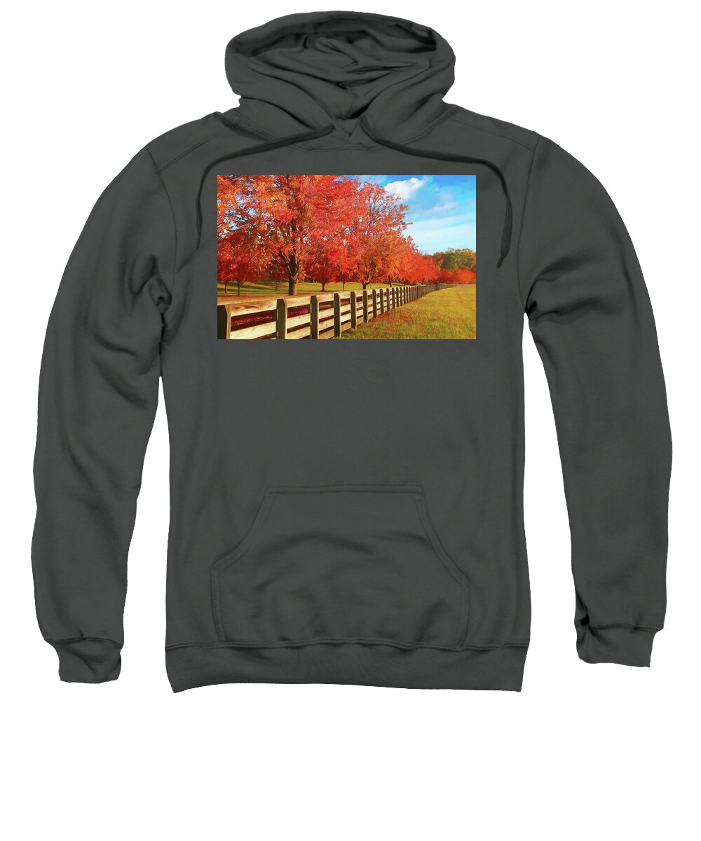 Autumn Sweatshirt featuring the photograph Trees Bursting with Autumn Fire by Ola Allen