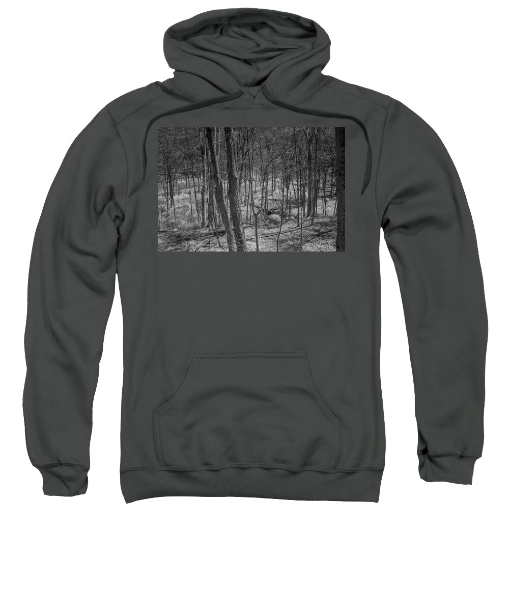 Desterted Village Sweatshirt featuring the photograph Trees in Deserted Village by Alan Goldberg
