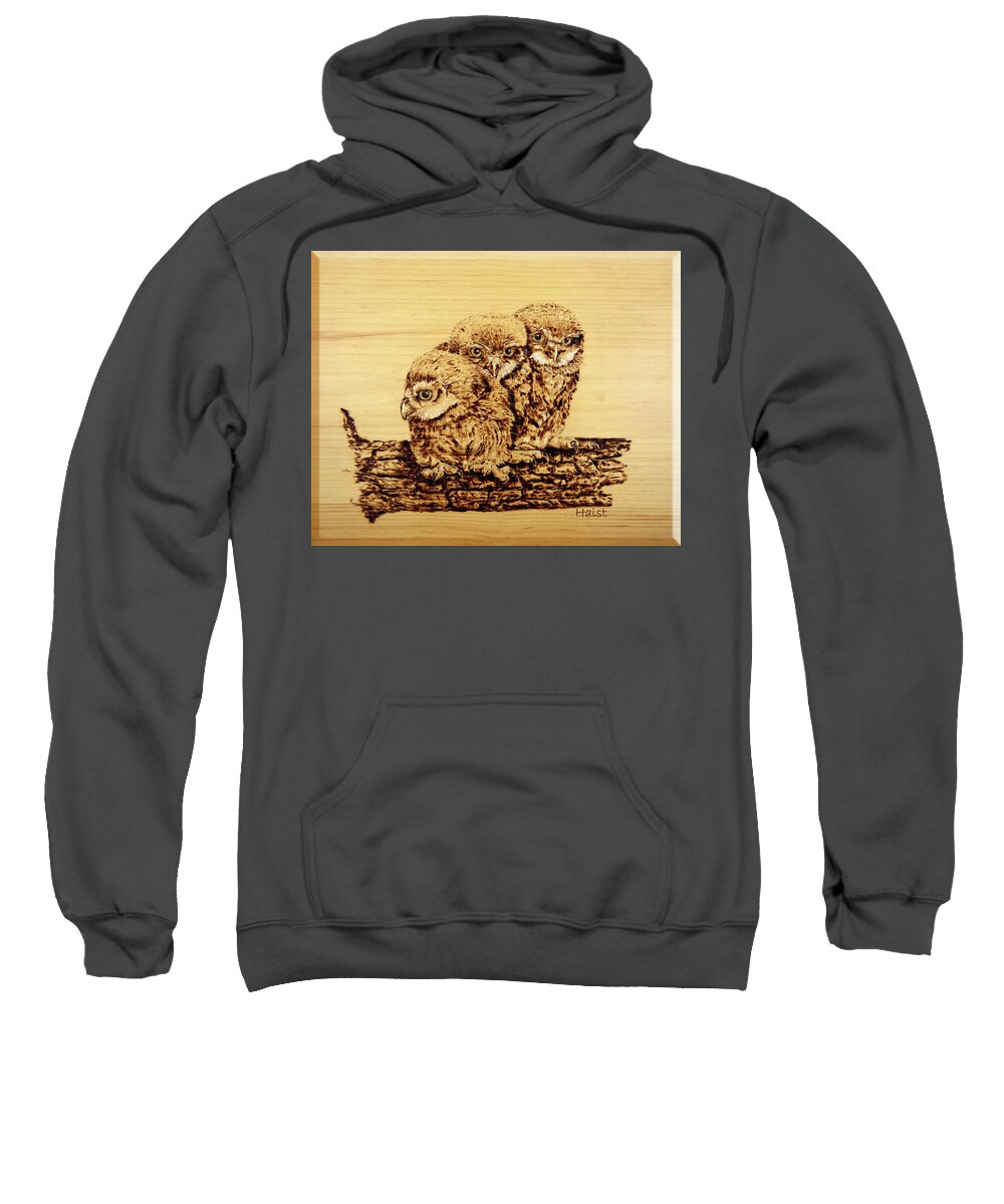 Owl Sweatshirt featuring the pyrography Tres Amigos by Ron Haist