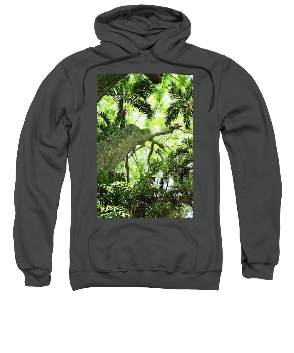 Color Sweatshirt featuring the photograph Tropical Forest by Alan Hausenflock